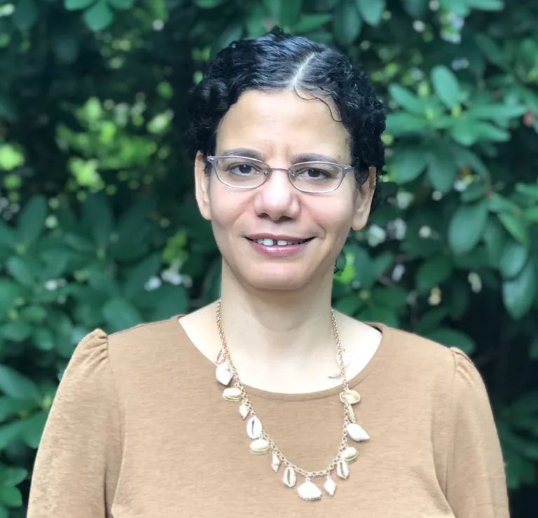 Aisha ElSherbiny